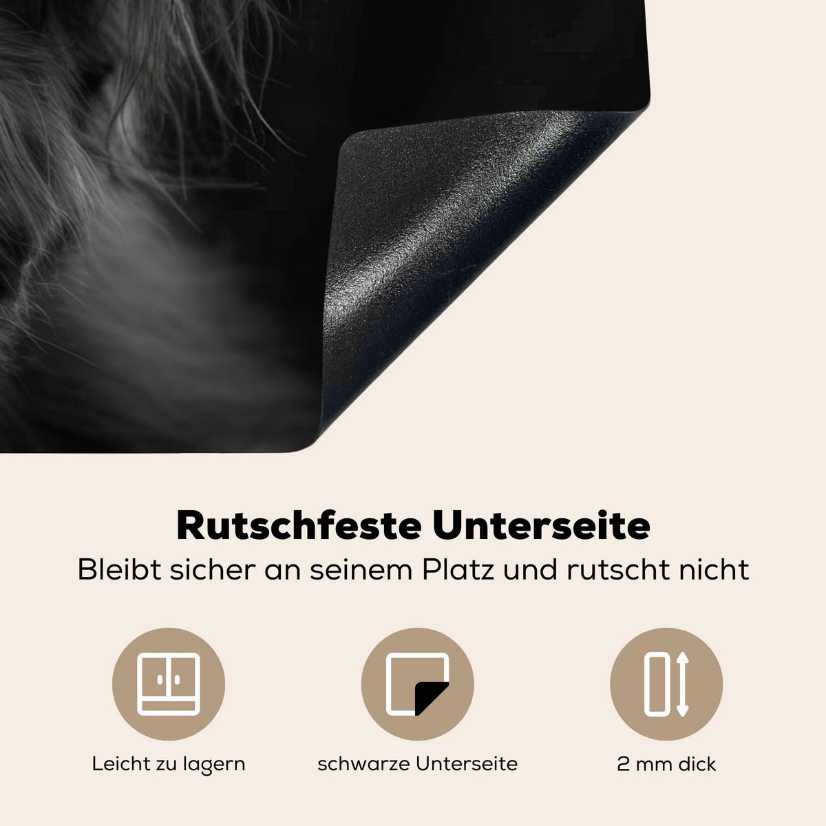 HERDABDECKPLATTE Scottish Highlander - Schwarz - Kalb - Kuh Induktionsschutz 91.6x52.7 cm - Schwarz, Kunststoff (91.6/52.7/0.2cm) - MuchoWow