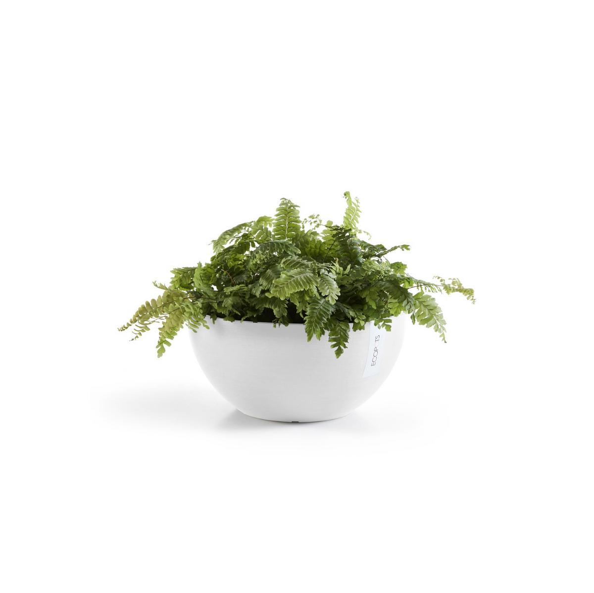 BLUMENTOPF Brussels 25/12 cm Weiß - Weiß, Kunststoff (25/12cm) - Ecopots