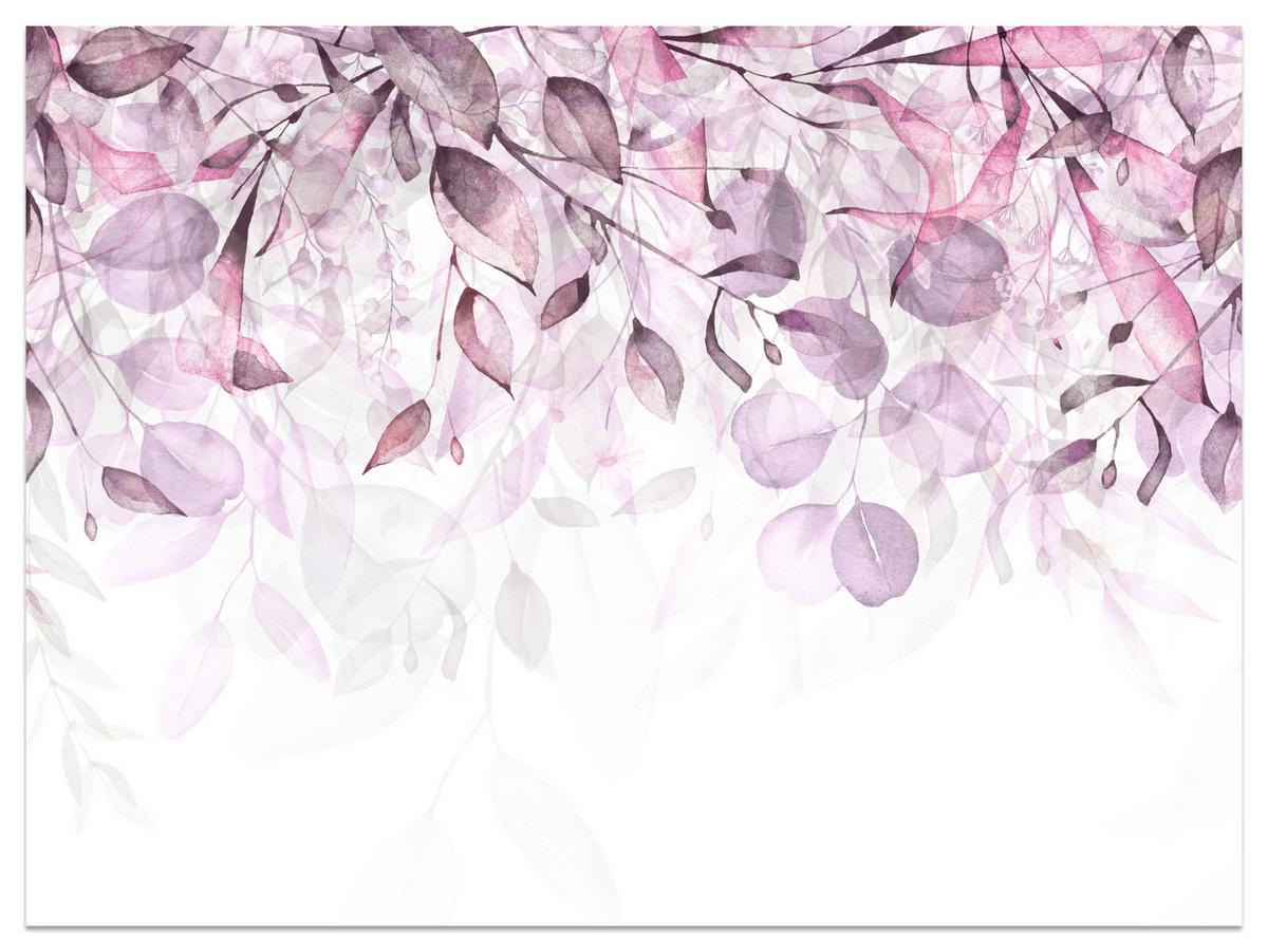 FOTOTAPETE für Schlafzimmer Aquarell Zarte Rosa Blätter Botanisch 450x315 - Violett/Weiß, Papier (450/315cm) - Muralo
