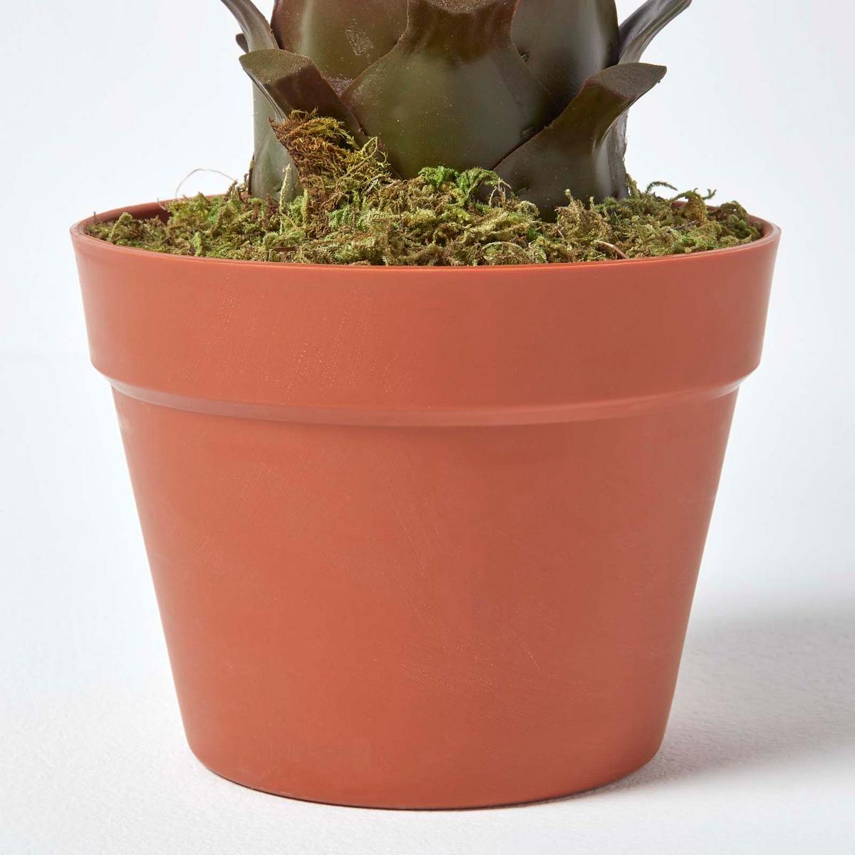 KUNSTPFLANZE Agave, 60 cm - Grün, Kunststoff (60cm) - Homescapes