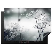 HERDABDECKPLATTE Blumen - Winter - Schnee - Natur Herdabdeckung Induktionsfeld 75x52 cm - Grau, Kunststoff (75/52/0.2cm) - MuchoWow