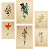 POSTER Set Mit 6 Botanica Frühlingszeit A3 & A4 Rahmen Aus Hellem Holz - Beige, Papier (29/3/42cm) - Nacnic