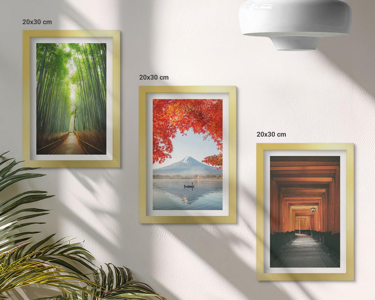 BILDER SET 3er Set - 20x30 cm Goldrahmen - Fuji-Bambuswaldlandschaft - Goldfarben, Kunststoff (20/30cm) - TULUP
