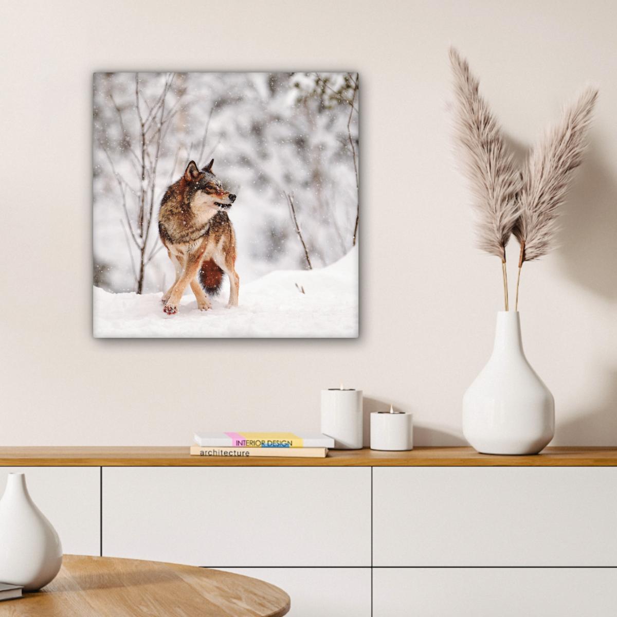 LEINWANDBILD Wolf - Winter - Schnee - Natur - Tiere Wandbild Wohnzimmer 50x50 cm - Haselnussfarben, Textil (50/50cm) - MuchoWow