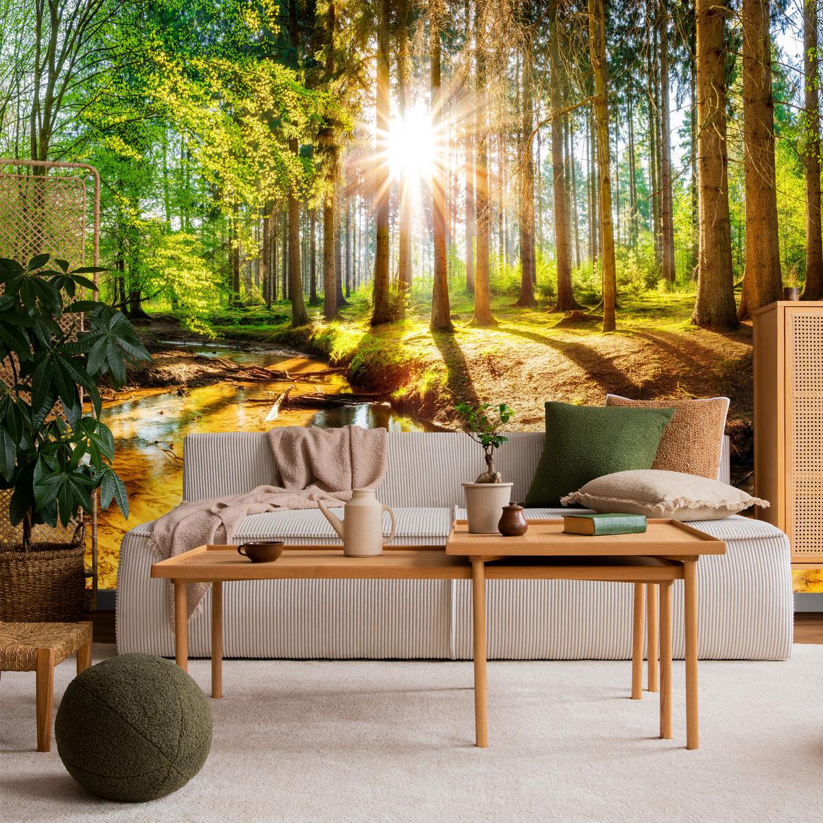 FOTOTAPETE für Wohnzimmer Pflanzen Natur Gras Sonniger Wald Bäume 250x175 - Multicolor, Papier (250/175cm) - Muralo