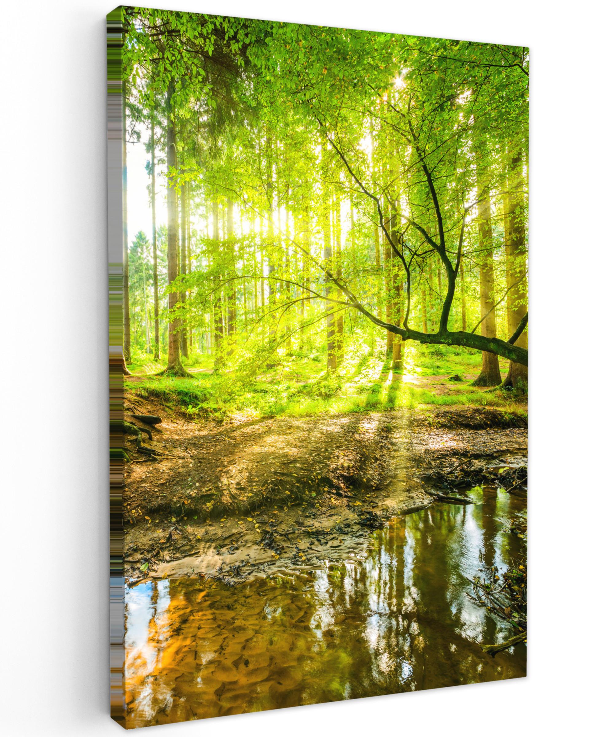 LEINWANDBILD Wald - Landschaft - Wasser - Bäume - Sonne - Grün - Natur Deko Groß 90x140 cm - Grün, Textil (90/140cm) - MuchoWow