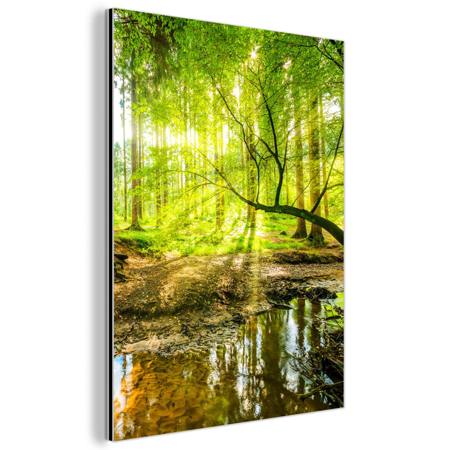 METALLBILD Wald - Landschaft - Wasser - Bäume - Sonne - Grün - Natur 30x40 cm - Grün, Metall (30/40cm) - MuchoWow