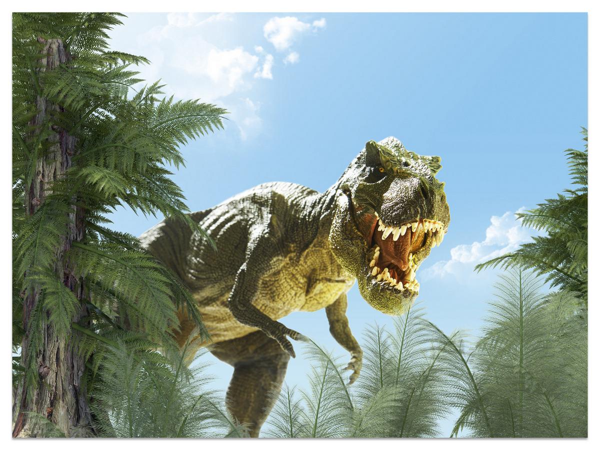 FOTOTAPETE für Jugendzimmer Riesen Dinosaurier Tropenwald Pflanzen 150x105 - Blau/Braun, Papier (150/105cm) - Muralo