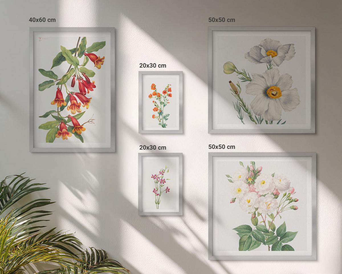 BILDER SET 5er Set - 50x50 cm & 20x30 cm & 40x60 cm Silberner Rahmen - Blumenmalerei im Retro-Stil - Silberfarben, Kunststoff (40/60cm) - TULUP