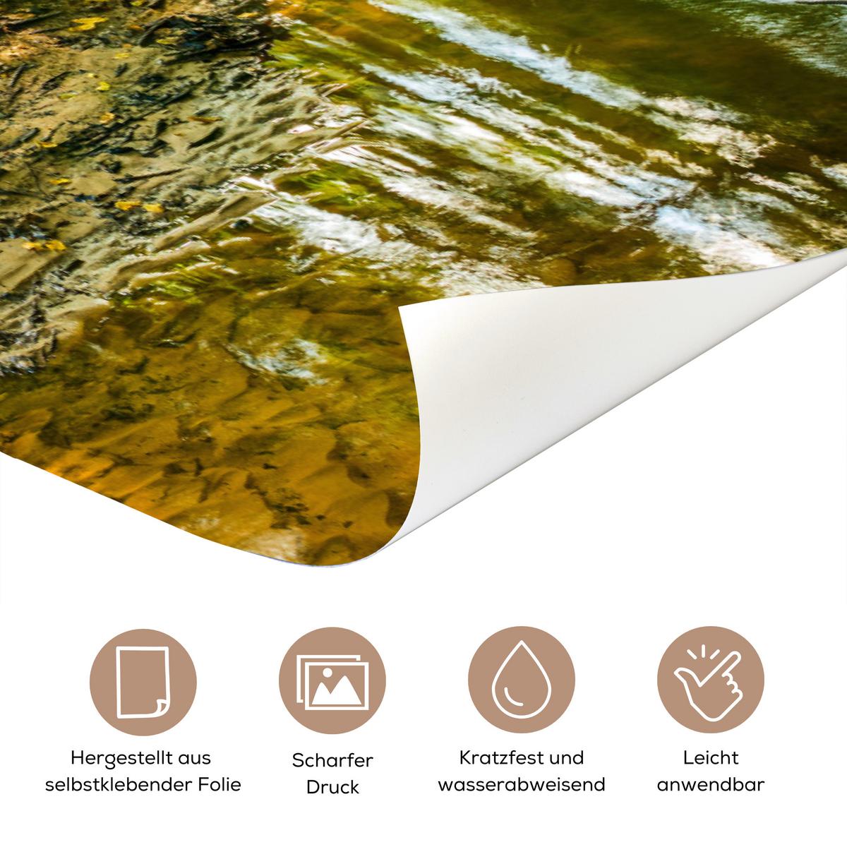 TÜRAUFKLEBER Wald - Landschaft - Wasser - Bäume - Sonne - Grün - Natur Room Decor 85x205 cm - Türtapete - Hellgrün, Kunststoff (85/0.1cm) - MuchoWow