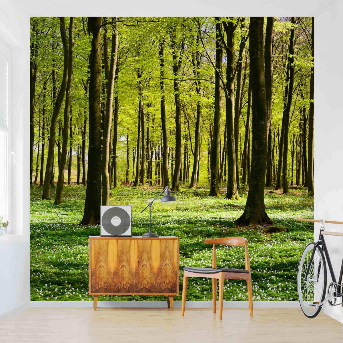 FOTOTAPETE Waldwiese 288/288 cm - Grün, Papier (288/288cm) - Bilderwelten