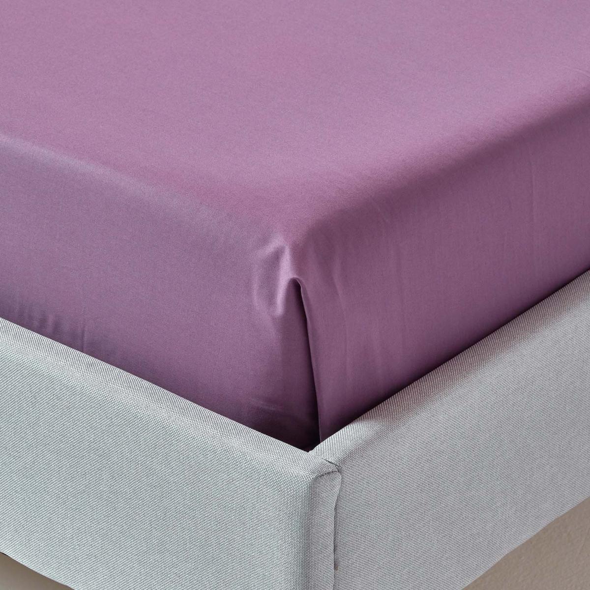 BETTLAKEN ohne Gummizug, Ägyptische Baumwolle, Fadendichte 200 - Lila, Textil (270/300cm) - Homescapes
