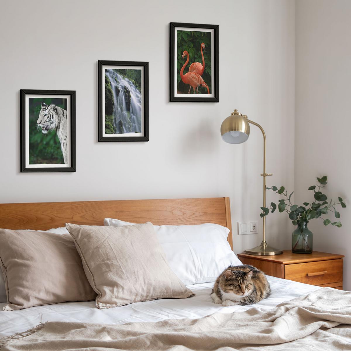 BILDER SET 3er Set - 20x30 cm Schwarzer Rahmen - Tiger Wasserfall Flamingos Natur - Schwarz, Kunststoff (20/30cm) - TULUP