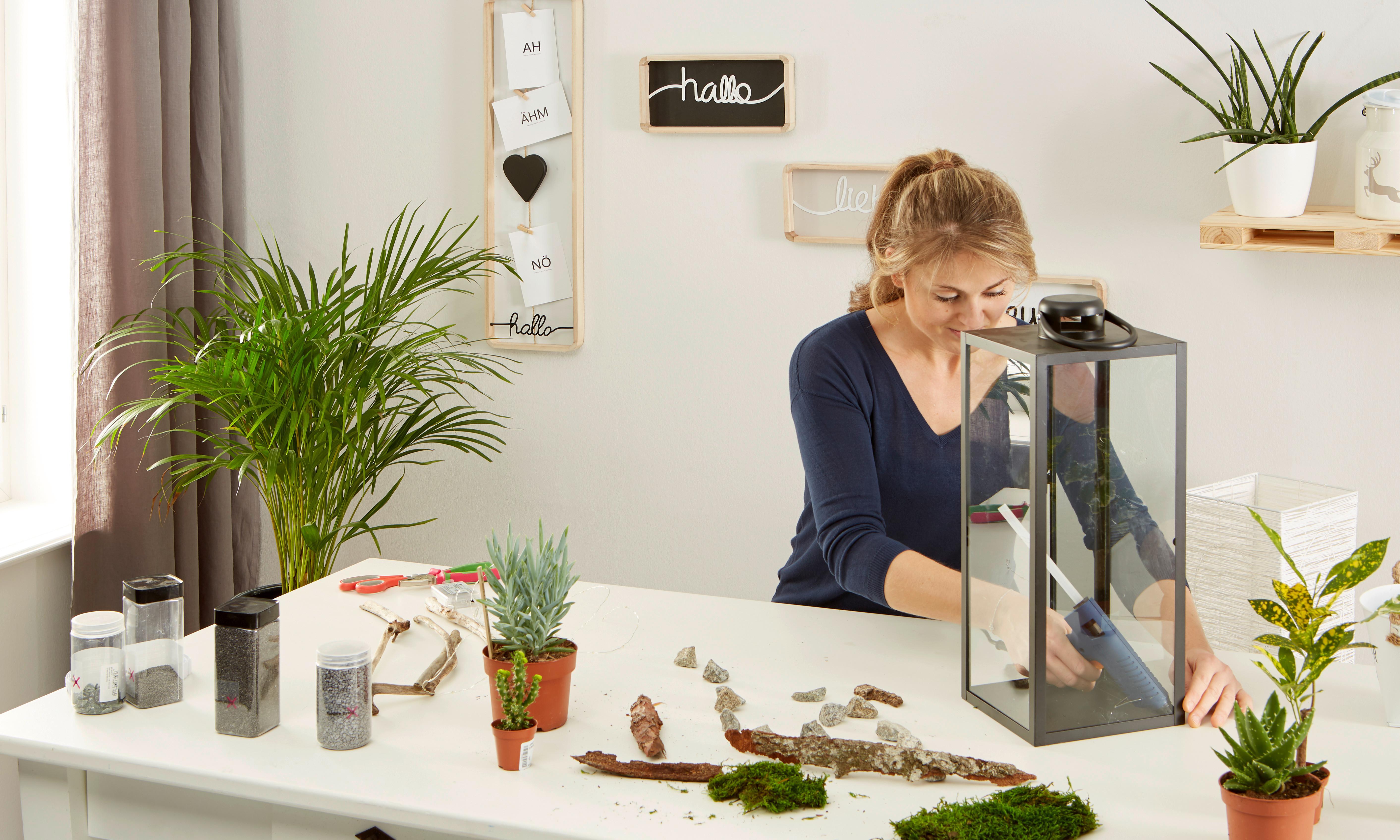 DIY lámpás növényekkel: 1. lépés