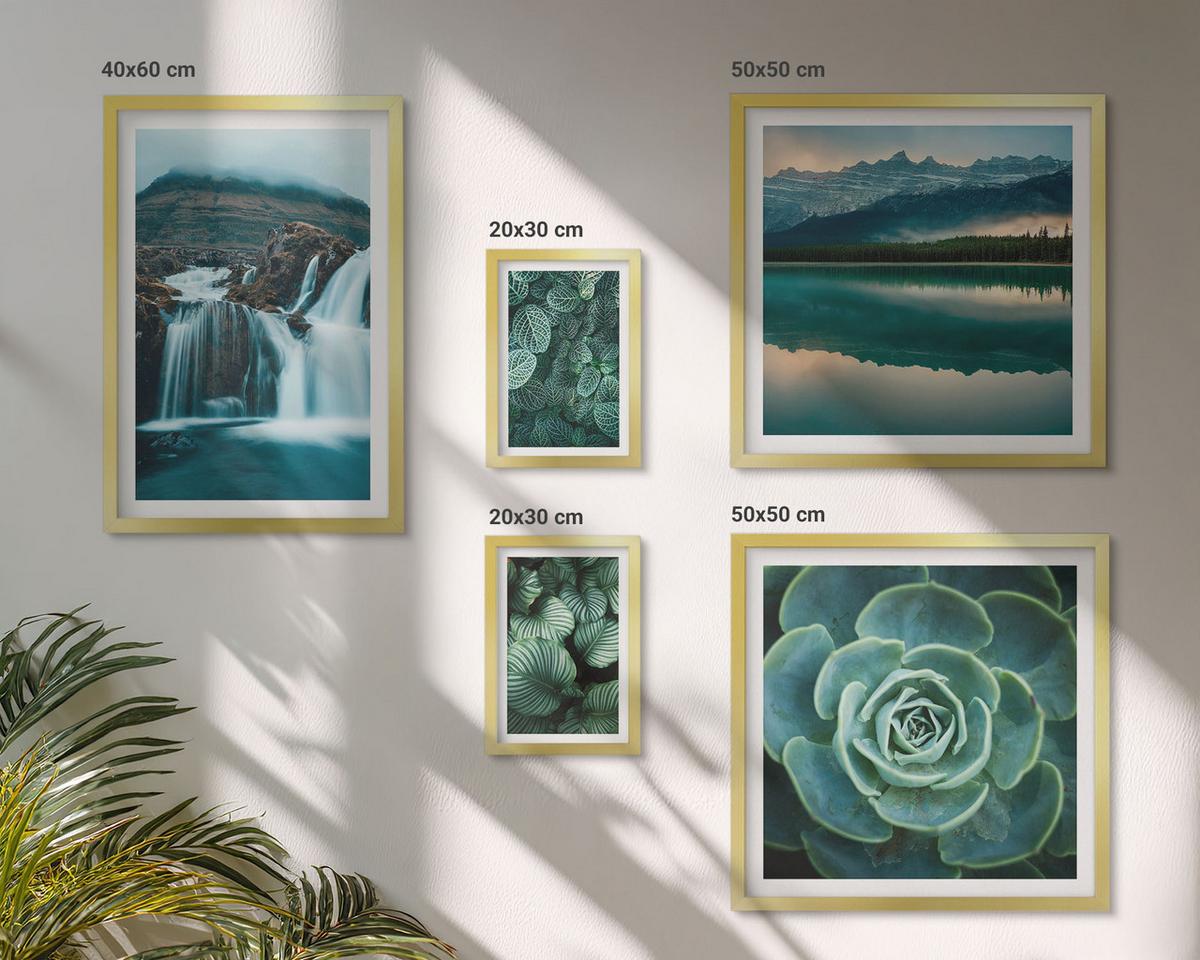 BILDER SET 5er Set - 50x50 cm & 20x30 cm & 40x60 cm Goldrahmen - Sukkulenten in Grün und Türkis - Goldfarben, Kunststoff (40/60cm) - TULUP