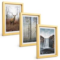 BILDER SET 3er Set - 20x30 cm Goldrahmen - Waldlandschaften, wilde Natur - Goldfarben, Kunststoff (20/30cm) - TULUP
