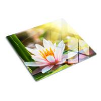 GLASPLATTE 60x52 cm Seerose - Multicolor, Glas (60/0.4/52cm) - TULUP