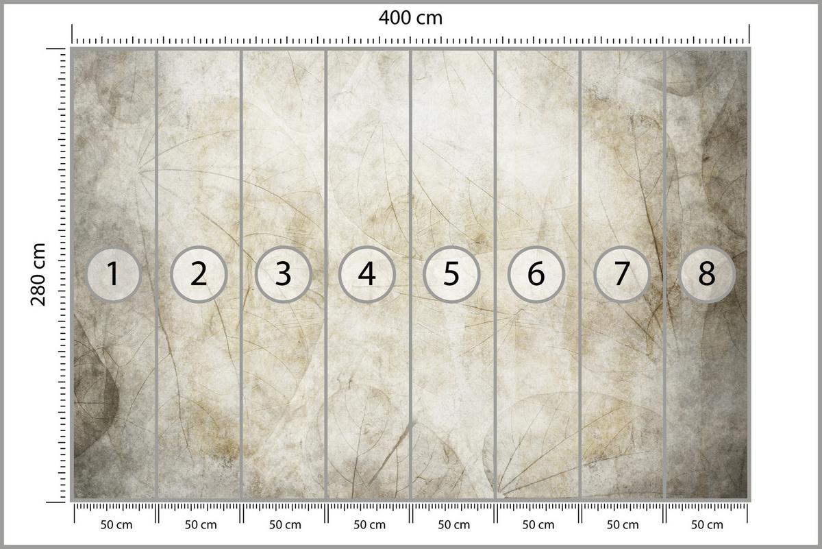 FOTOTAPETE für Wohnzimmer Blätter Beton Abstraktion 400x280 - Beige/Grau, Papier (400/280cm) - Muralo