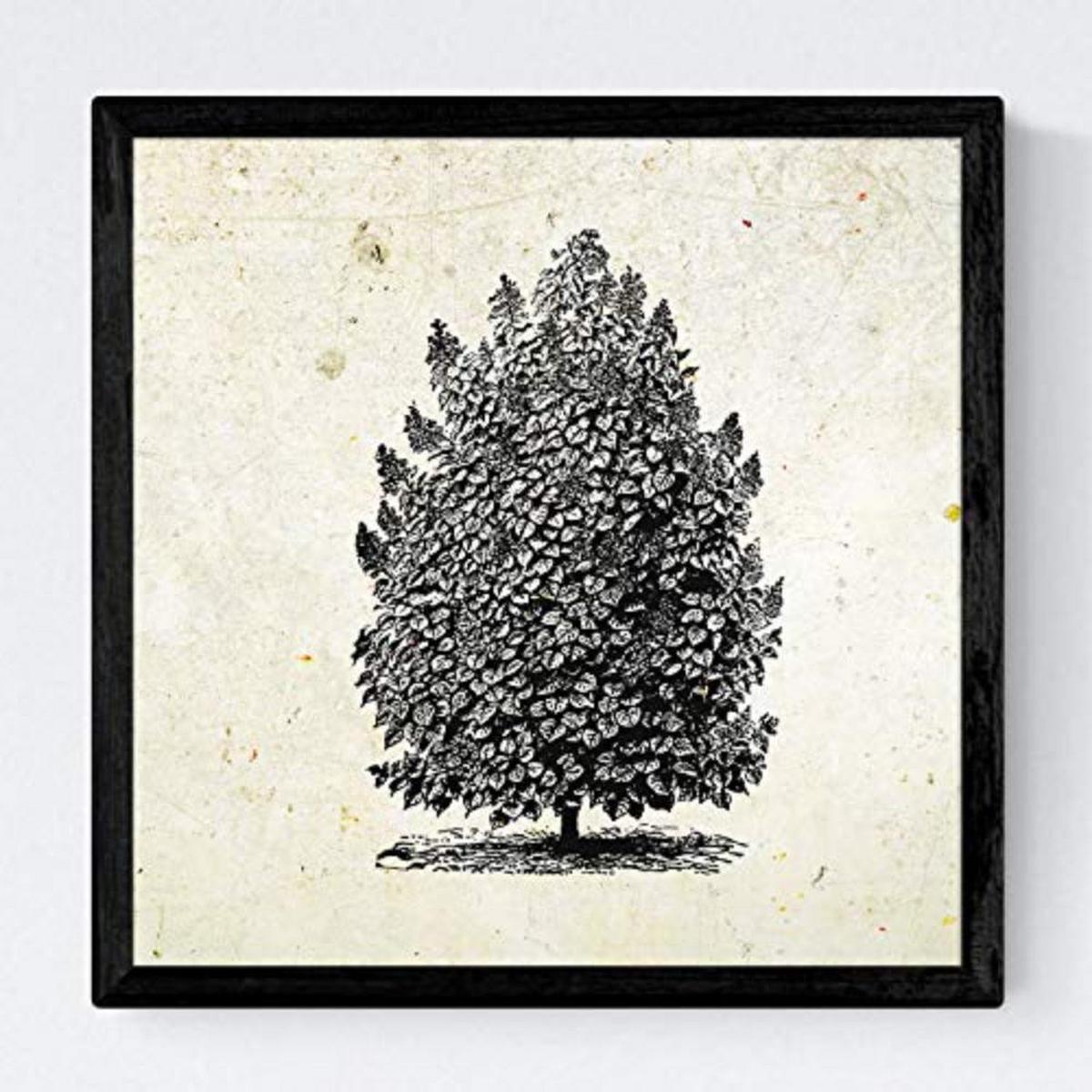 POSTER Set mit 4 Blättern der Hohe Bäume Jahrgang Hintergrund 20x20cm Schwarzer Rahmen - Schwarz, Papier (20/3cm) - Nacnic