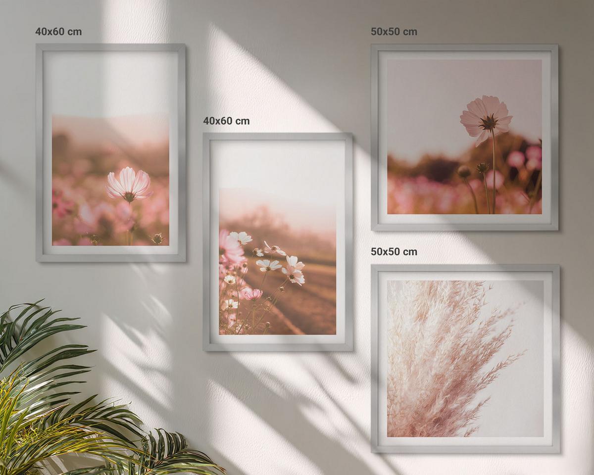 BILDER SET 4er Set - 50x50 cm & 40x60 cm Silberner Rahmen - Wildblumen auf den Wiesen im Sommer - Silberfarben, Kunststoff (50/50cm) - TULUP