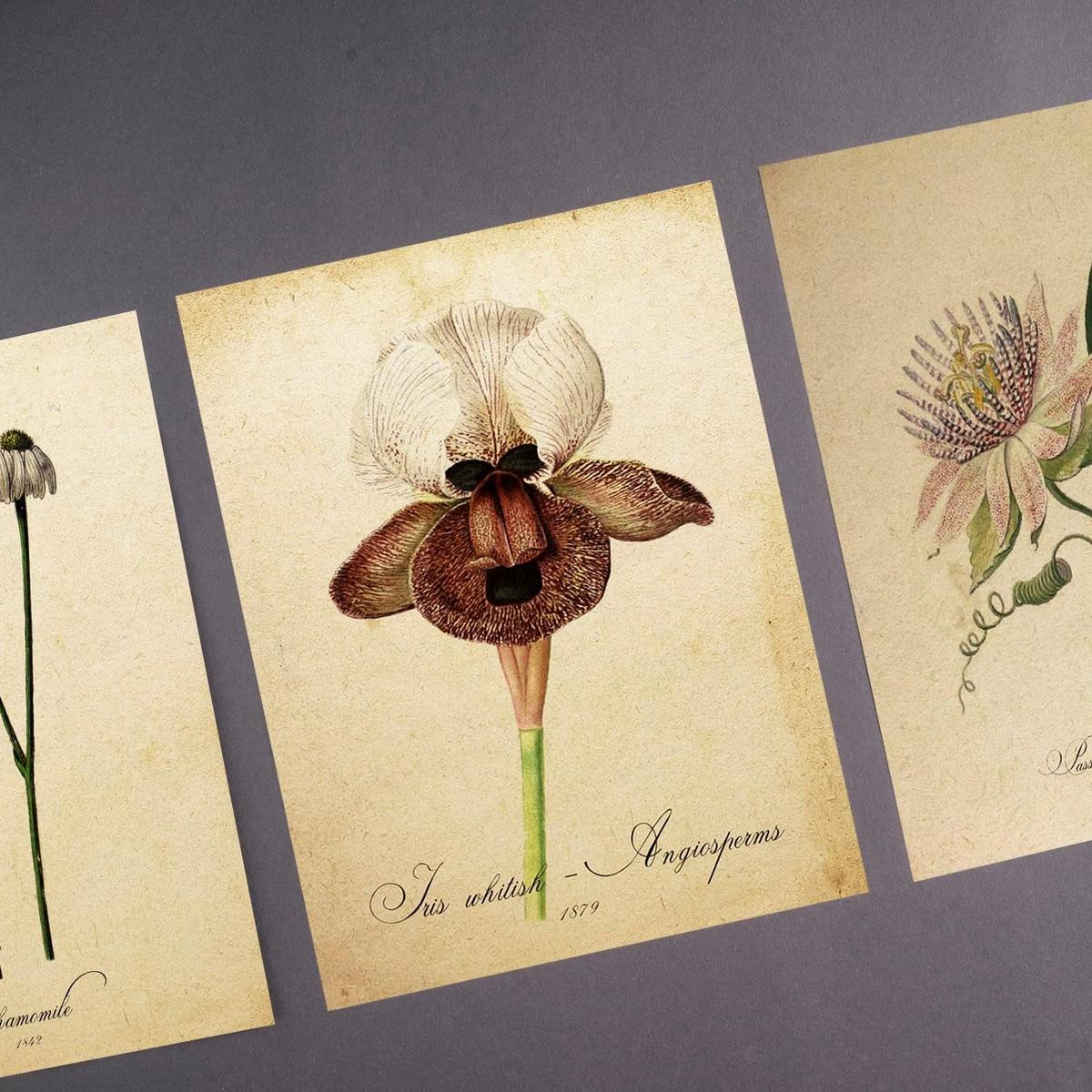 POSTER Set Mit 6 Vintage Blumen Sammlung Von Platten Mit Ästhetischer Collage Für Innendekoration A3 & A4 Rahmenlos - Klar, Papier (29/3cm) - Nacnic