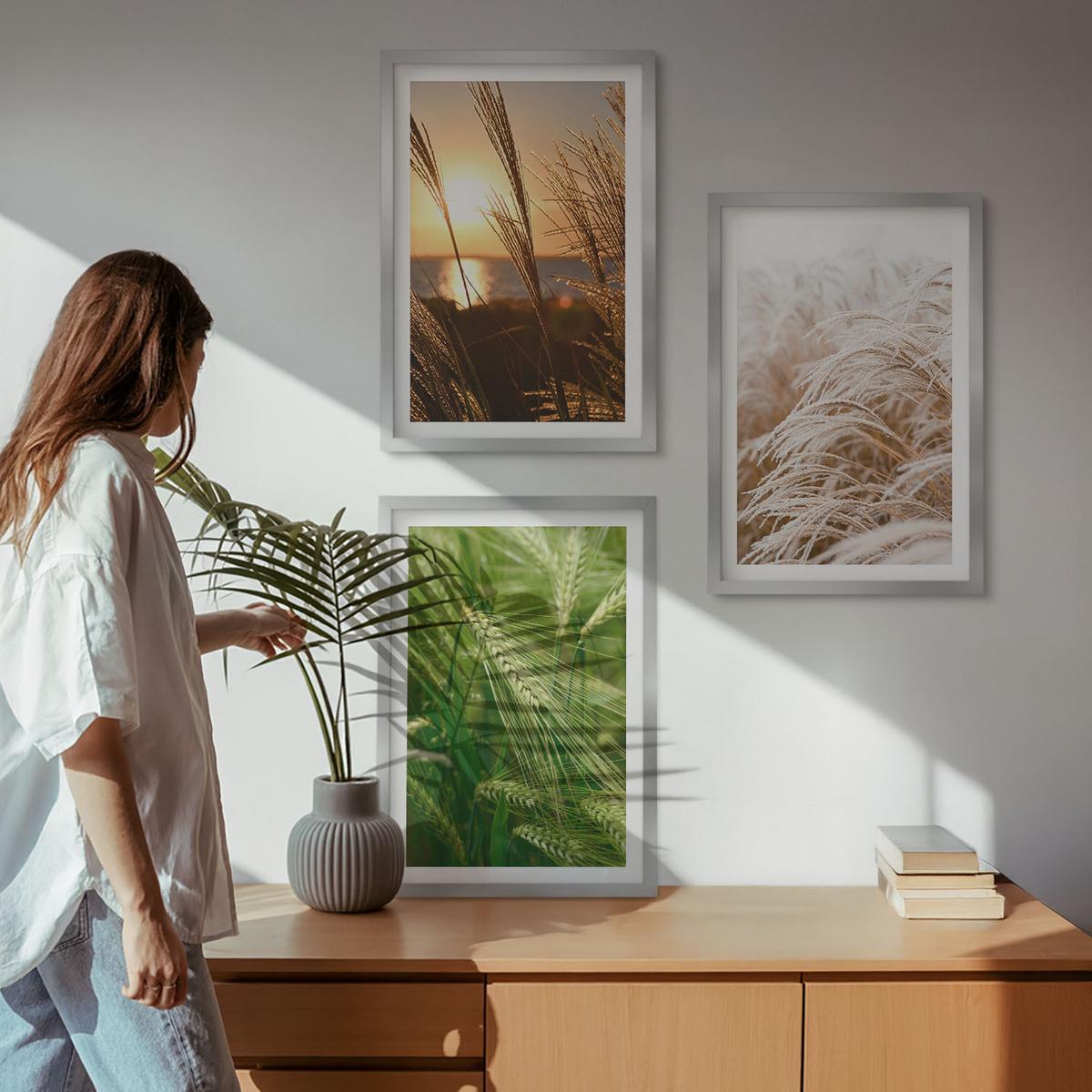 BILDER SET 3er Set - 40x60 cm Silberner Rahmen - Gräser farbenfrohe Natur - Silberfarben, Kunststoff (40/60cm) - TULUP