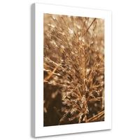 WANDBILD beigefarbenes gras - Beige, Textil (40/60cm) - Feeby