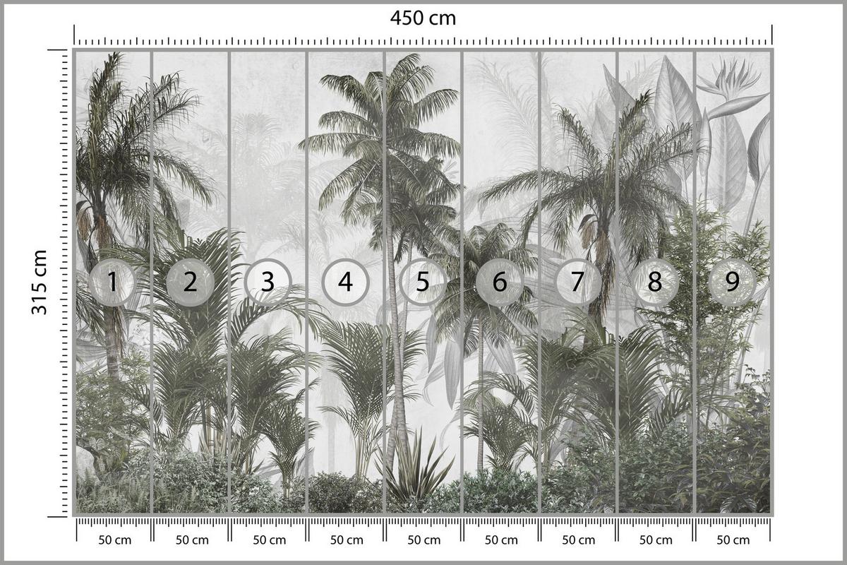 FOTOTAPETE für Wohnzimmer Natur Hohe Palmen Bäume Tropisch 450x315 - Grau/Grün, Papier (450/315cm) - Muralo
