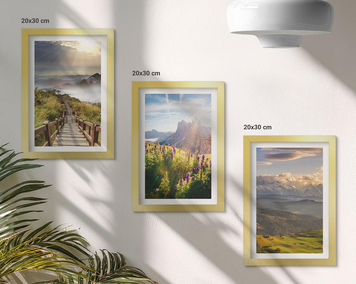 BILDER SET 3er Set - 20x30 cm Goldrahmen - Berglandschaft mit Blumen - Goldfarben, Kunststoff (20/30cm) - TULUP