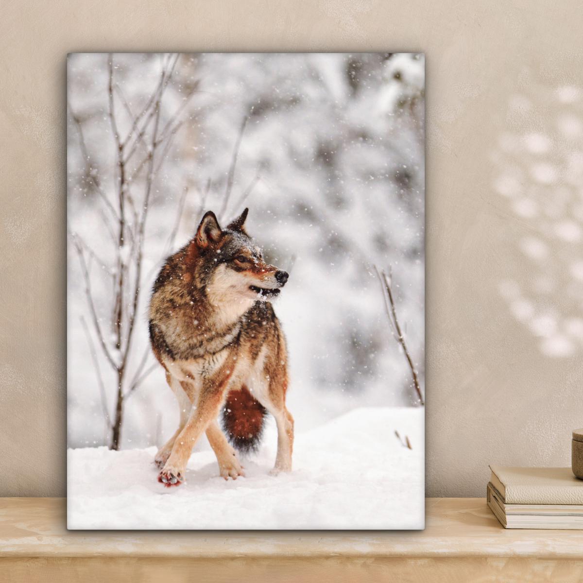 LEINWANDBILD Wolf - Winter - Schnee - Natur - Tiere Room Decor 30x40 cm - Haselnussfarben, Textil (30/40cm) - MuchoWow