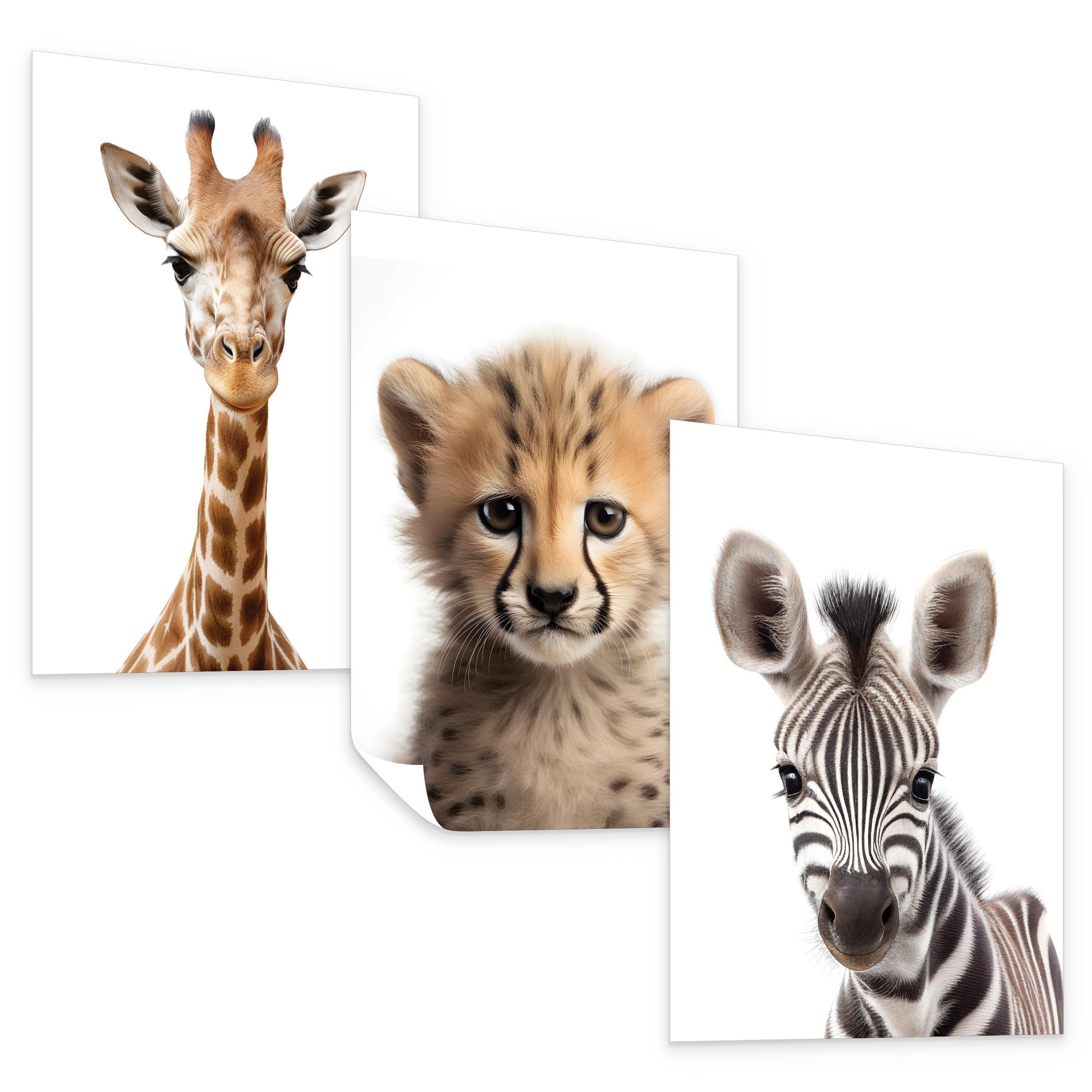 POSTER SET ohne Rahmen für Kinderzimmer WILDTIERE Giraffe Gepard Zebra A3 30x42cm - Gelb/Schwarz, Papier (30/42/1cm) - Muralo