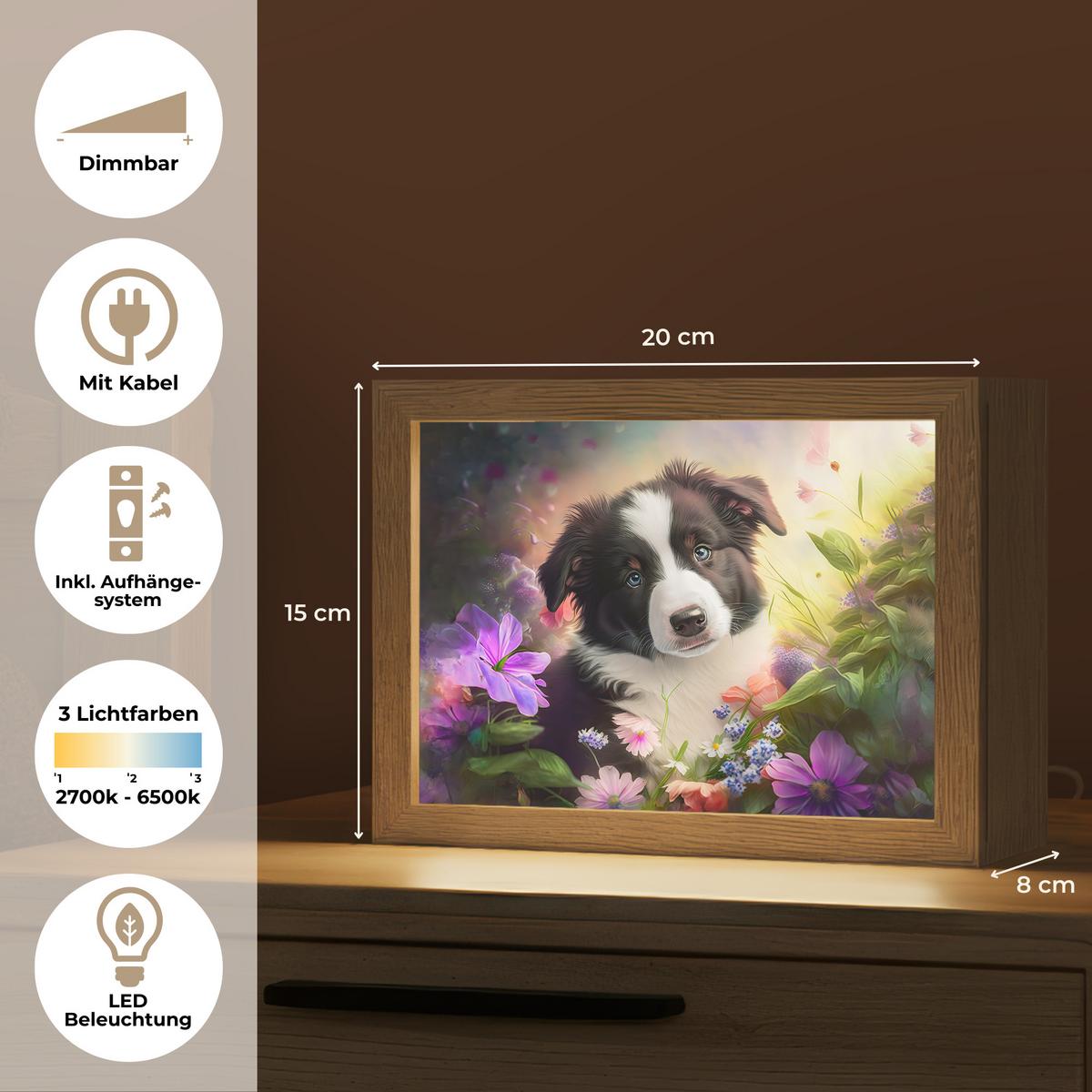 WANDLEUCHTE Welpe - Sonne - Blumen - Natur - Border Collie - Hund 20x15 cm - Violett, Holzwerkstoff (20/15/8cm) - OnlyWow