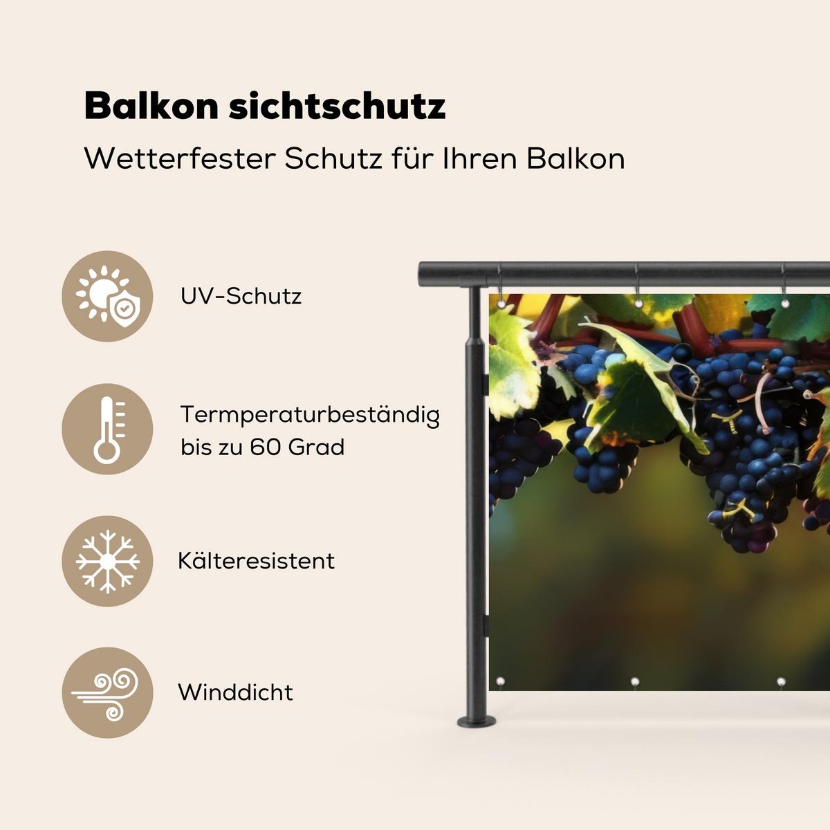 BALKON-SICHTSCHUTZ Trauben - Wein - Natur - Grün Balkon Deko 300x130 cm - Weinrot, Kunststoff (300/130cm) - MuchoWow