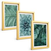 BILDER SET 3er Set - 20x30 cm Goldrahmen - Nahaufnahme von Pflanzenblättern - Goldfarben, Kunststoff (20/30cm) - TULUP