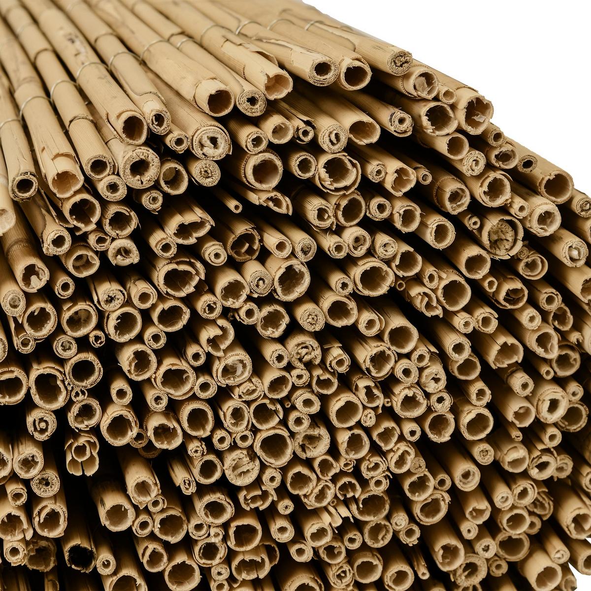 SICHTSCHUTZZAUN SolVision S36 90/600 cm Schilf - Naturfarben, Kunststoff (600/90cm) - Sol Royal