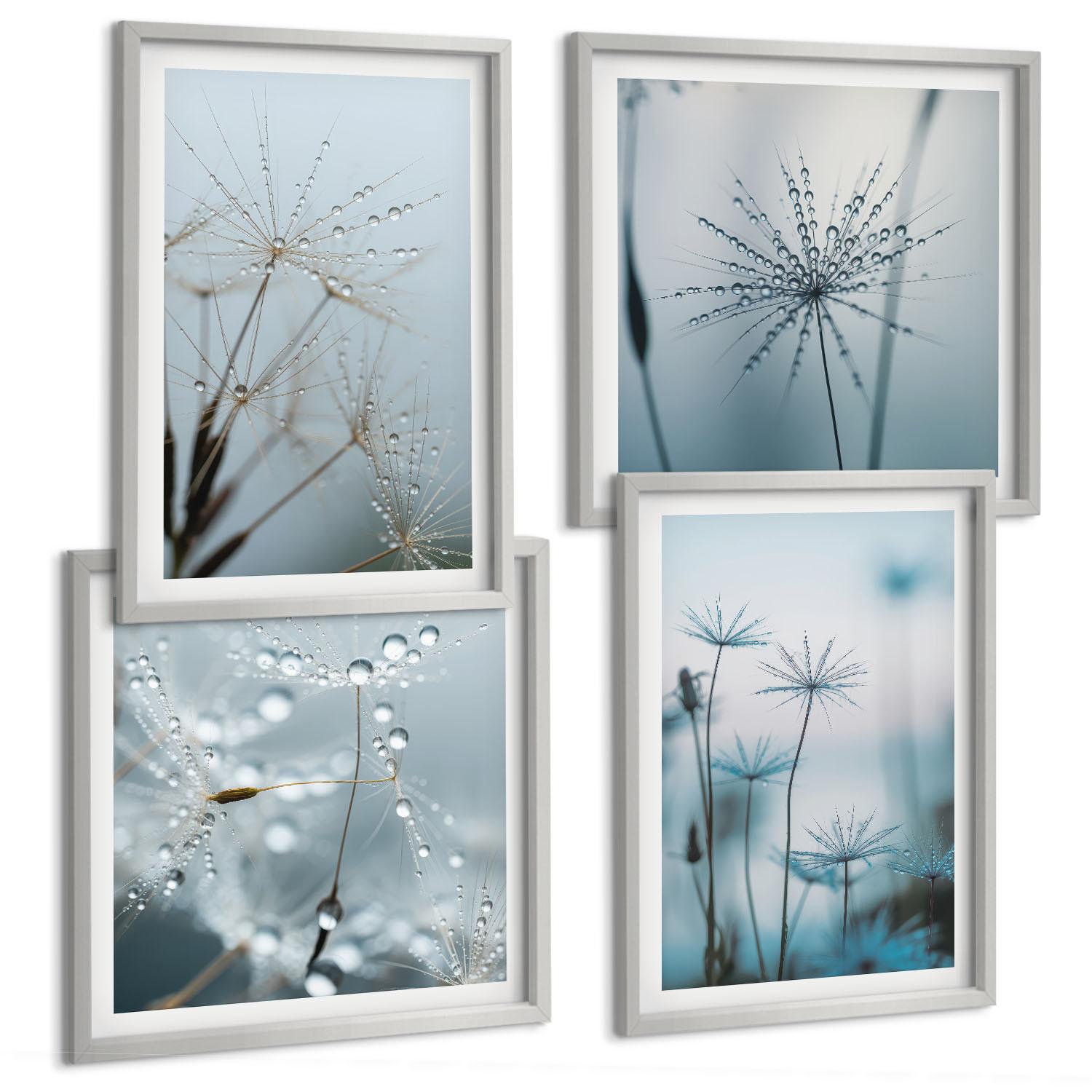 BILDER SET 4er Set - 50x50 cm & 40x60 cm Silberner Rahmen - Löwenzahn-Wassertropfen - Silberfarben, Kunststoff (50/50cm) - TULUP