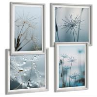 BILDER SET 4er Set - 50x50 cm & 40x60 cm Silberner Rahmen - Löwenzahn-Wassertropfen - Silberfarben, Kunststoff (50/50cm) - TULUP