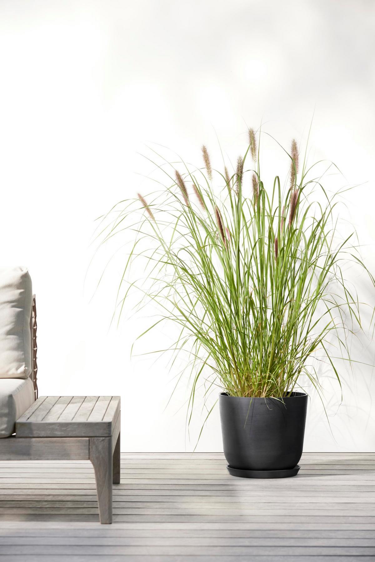 BLUMENTOPF mit Wasserreservoir Oslo 25/21,4 cm Dunkelgrau - Dunkelgrau, Kunststoff (25/21.4cm) - Ecopots