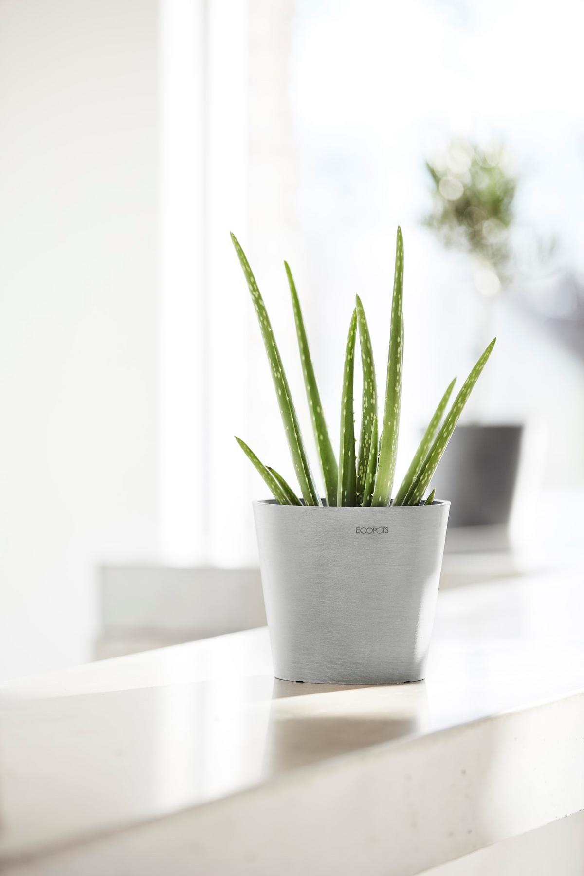 BLUMENTOPF Amsterdam 17/14,7 cm Hellgrau - Hellgrau, Kunststoff (17/14.7cm) - Ecopots
