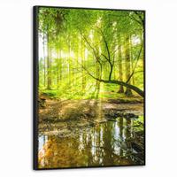 LEINWAND Bilder mit Rahmen - Wald - Landschaft - Wasser - Bäume - Sonne - Grün - Natur - 60x80 - Grün, Textil (60/80cm) - MuchoWow