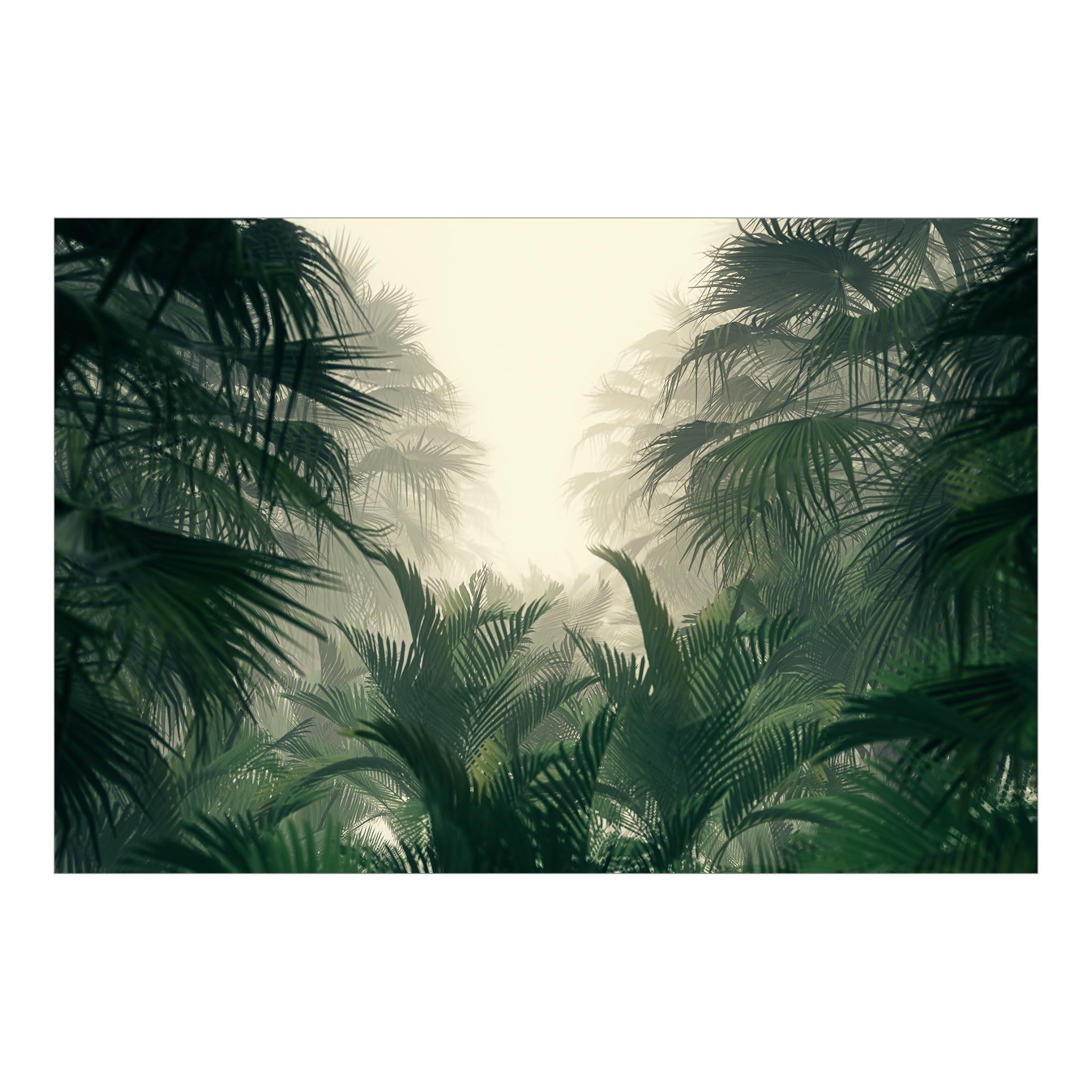 FOTOTAPETE Tropenpflanzen im Nebel 288/190 cm - Grün, Papier (288/190cm) - Bilderwelten