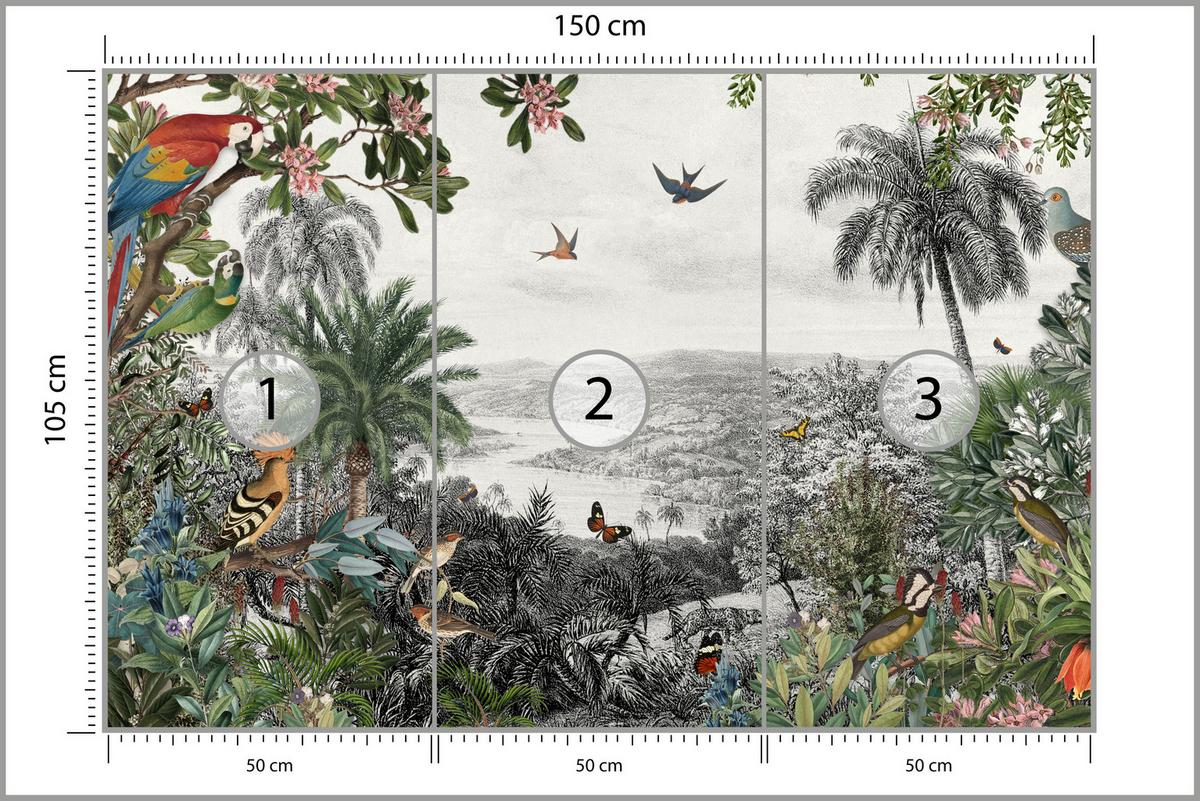 FOTOTAPETE für Wohnzimmer Tropenpapageien Vögel Palmen 150x105 - Gelb/Rot, Papier (150/105cm) - Muralo