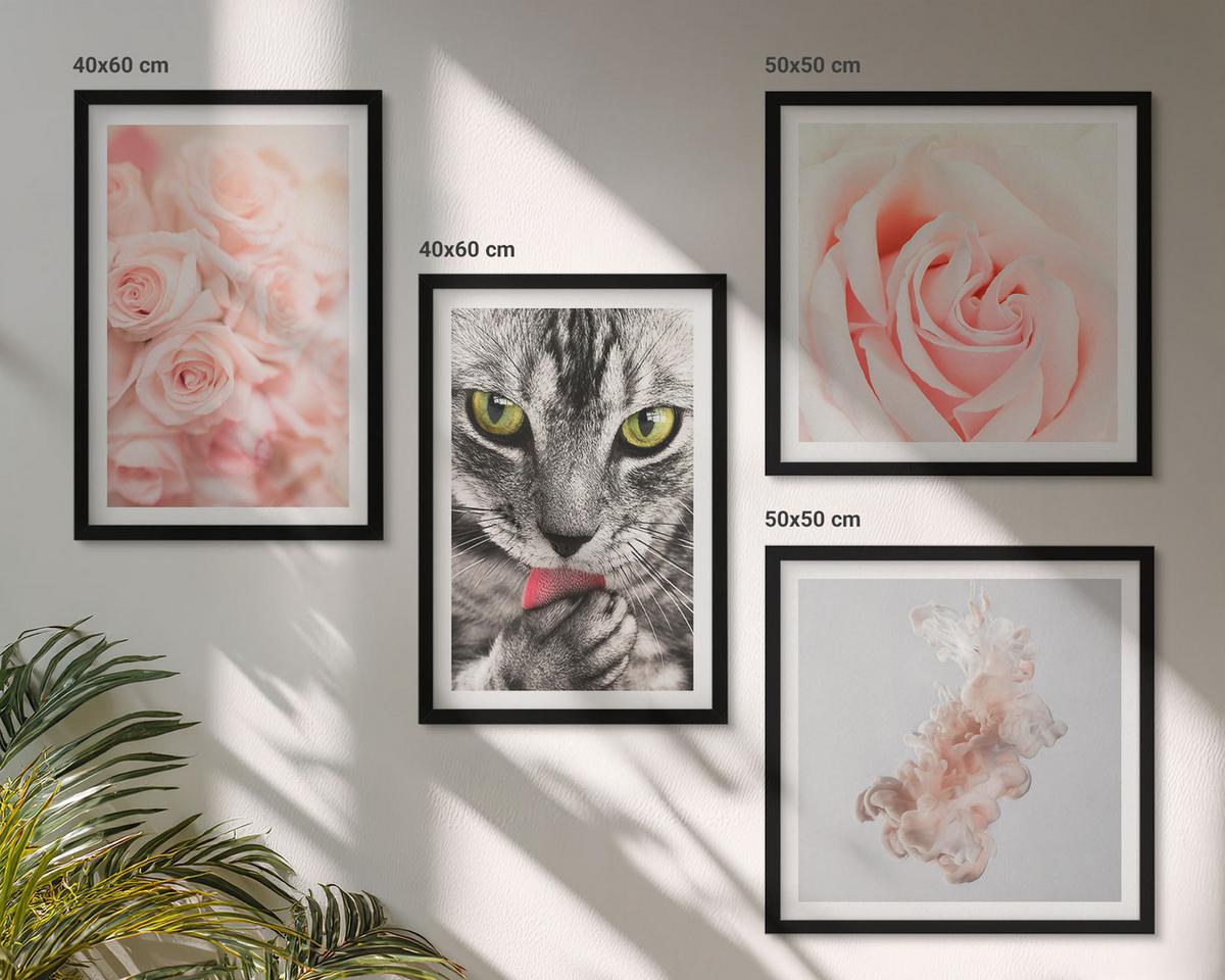 BILDER SET 4er Set - 50x50 cm & 40x60 cm Schwarzer Rahmen - Abstrakte Darstellung von grauen Katzenrosen - Schwarz, Kunststoff (50/50cm) - TULUP