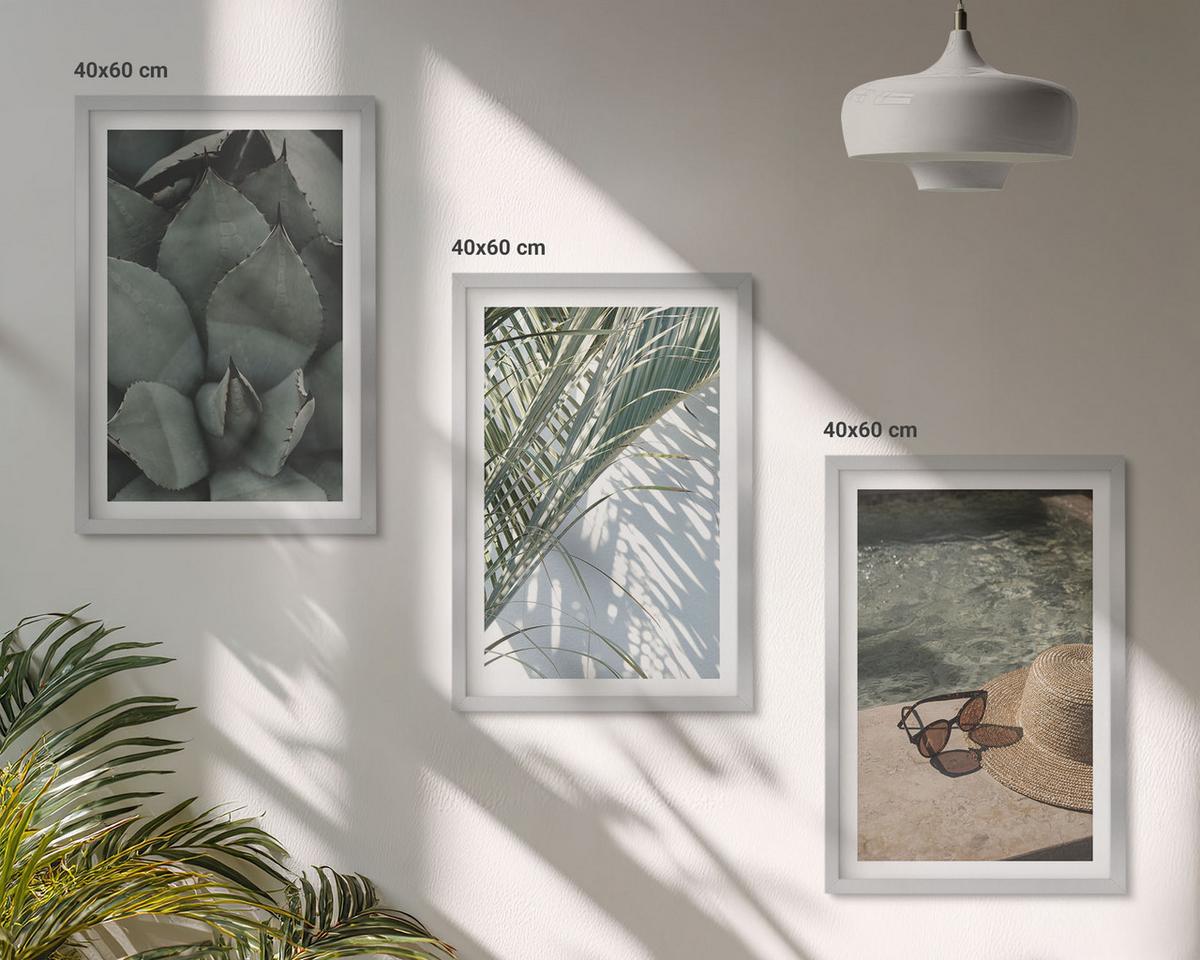 BILDER SET 3er Set - 40x60 cm Silberner Rahmen - Tropische Pflanzen für den Urlaub - Silberfarben, Kunststoff (40/60cm) - TULUP