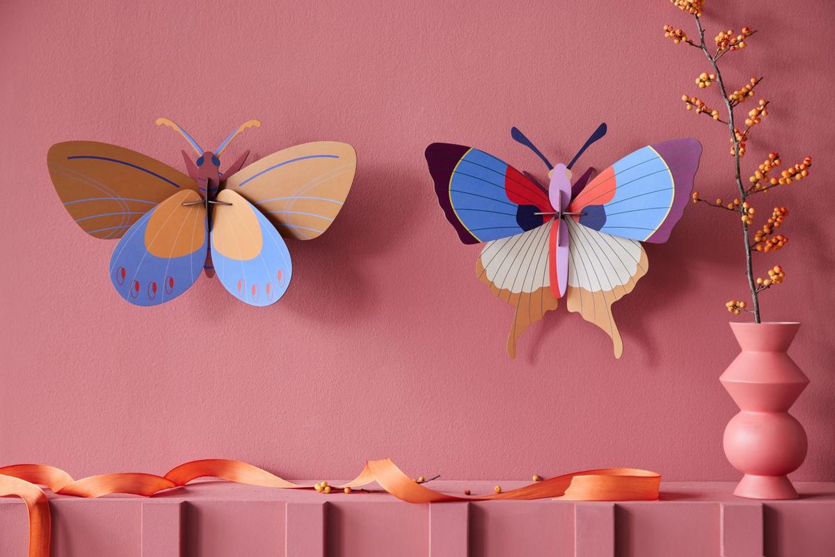 WANDDEKO Azur-Monarch 10/20.5 cm - Multicolor, Wellpappe (10/20.5/34cm) - Studio Roof