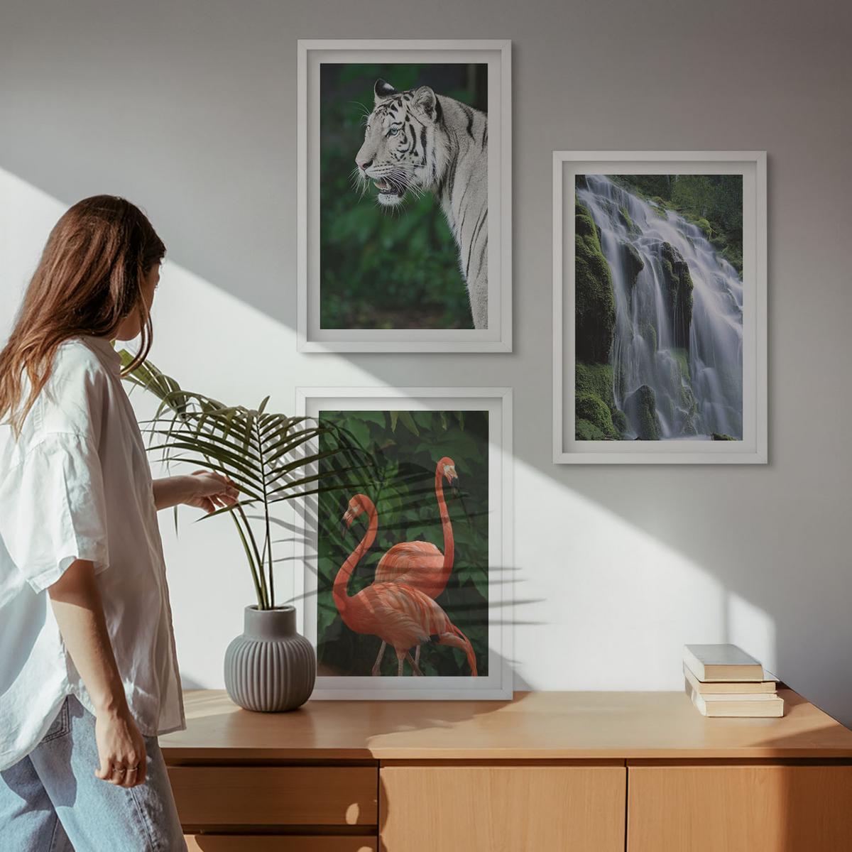 BILDER SET 3er Set - 40x60 cm Weißer Rahmen - Tiger Wasserfall Flamingos Natur - Weiß, Kunststoff (40/60cm) - TULUP