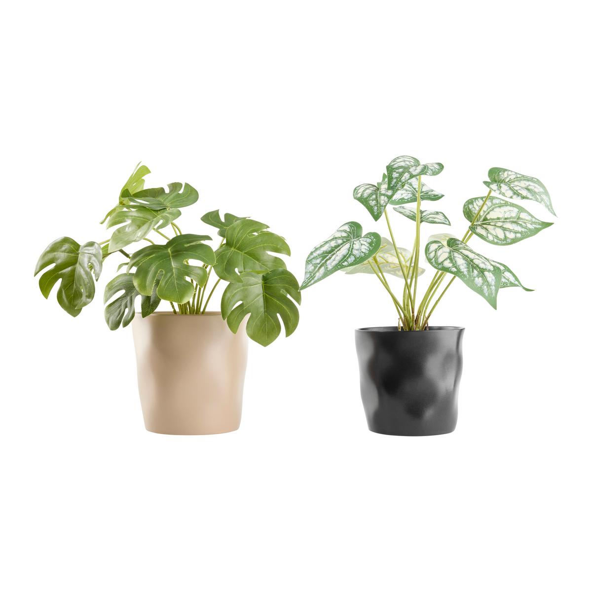 Okrasni Lonček Cashmere - rjavosiva, keramika (15,5/14,5cm) - Mömax