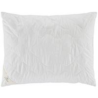 Kopfpolster Bamboo in Weiß ca. 70x90cm - Weiß, MODERN, Textil (70/90cm) - ecoTree