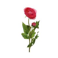 Plantă artificală Camelie - Basics (10/8/57cm)