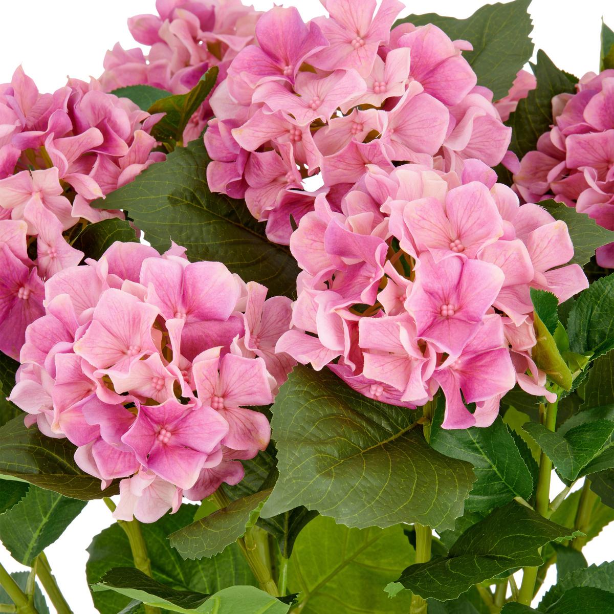 Kunstpflanze Hortensien Pink/Grün ca. 77cm - Pink/Creme, Basics, Kunststoff (27/77/27cm)